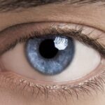 The movement of light: how the autistic brain processes the world