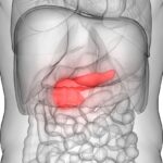 Curtin study investigates potential new treatments for pancreatic cancer