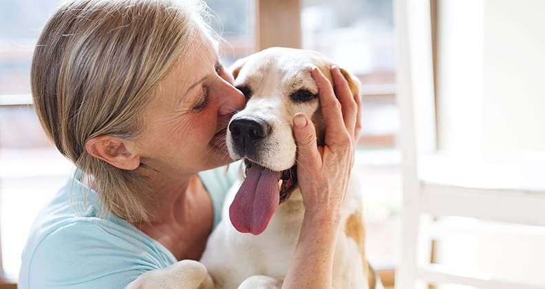 Image for Pets offer therapeutic aid for people with borderline personality disorder
