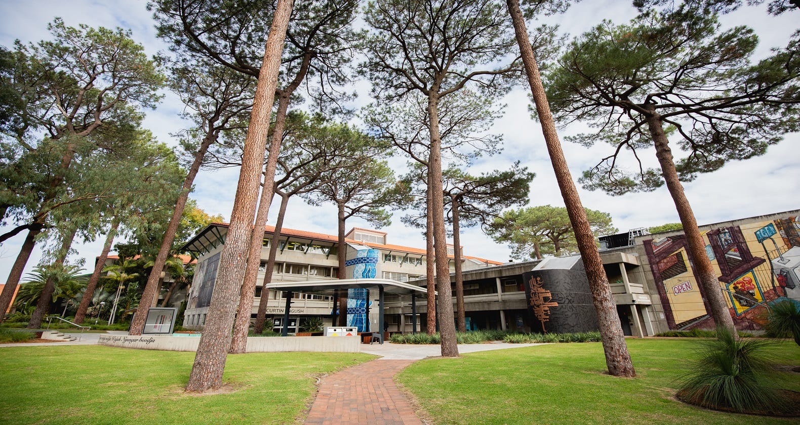 Image for Curtin sends out special round of early offers for 2021