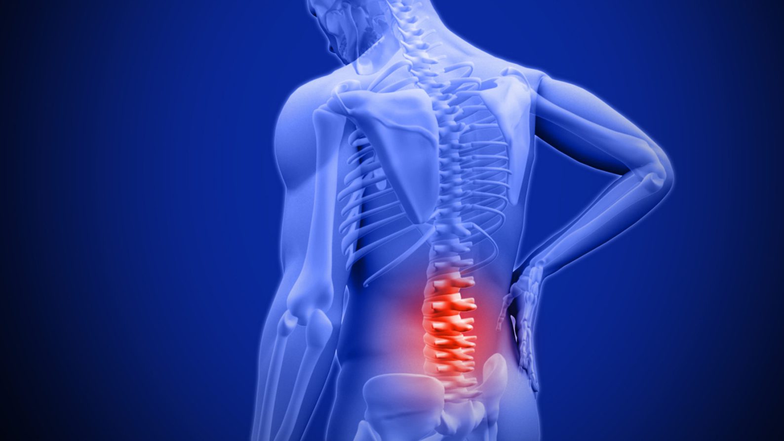 Image for Study finds lifting advice doesn’t stand up for everyone