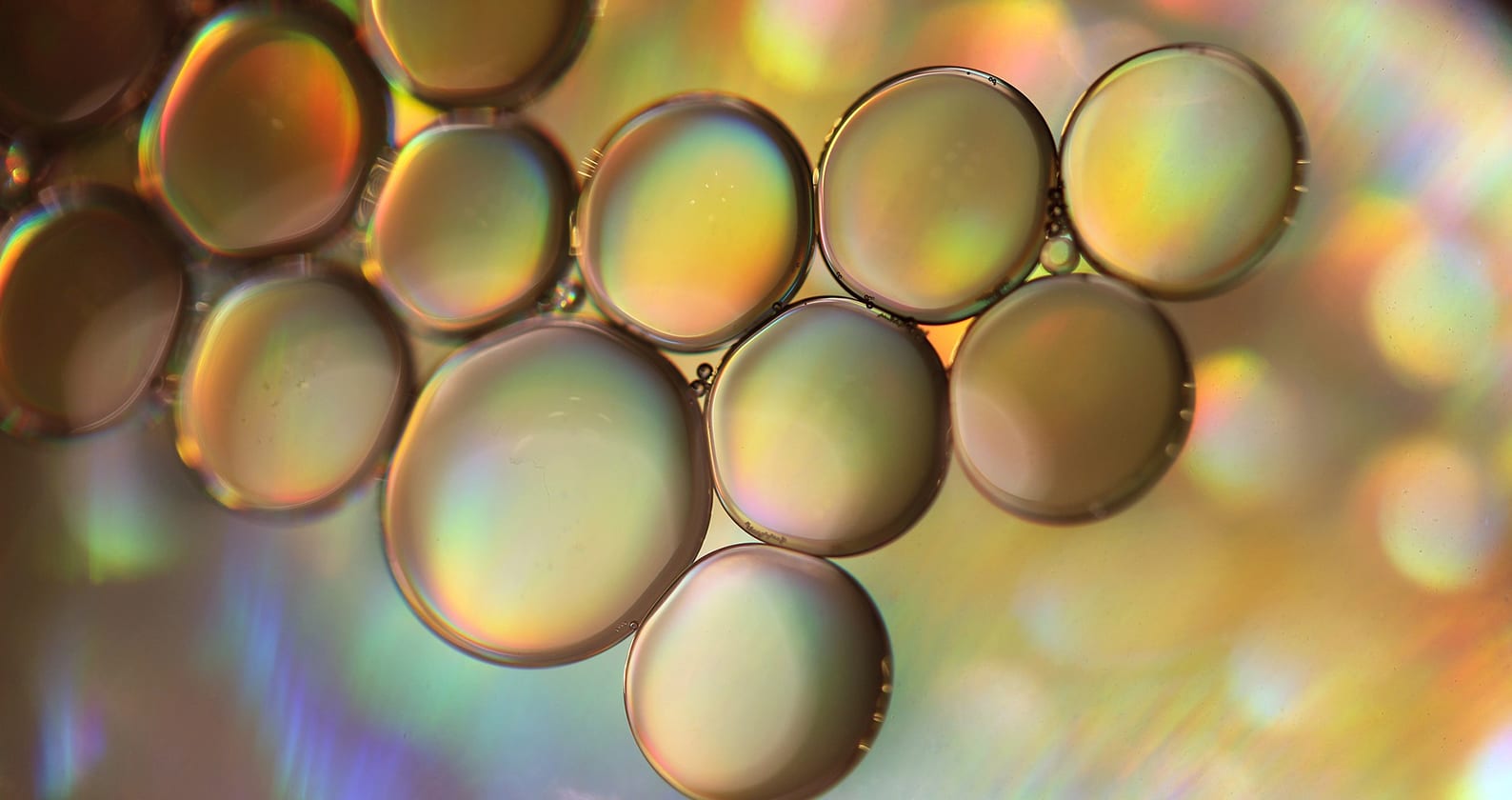 Image for Tiny bubbles on electrodes key to speeding up chemical processes