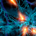 Curtin study a potential game-changer for treatment of traumatic brain injury