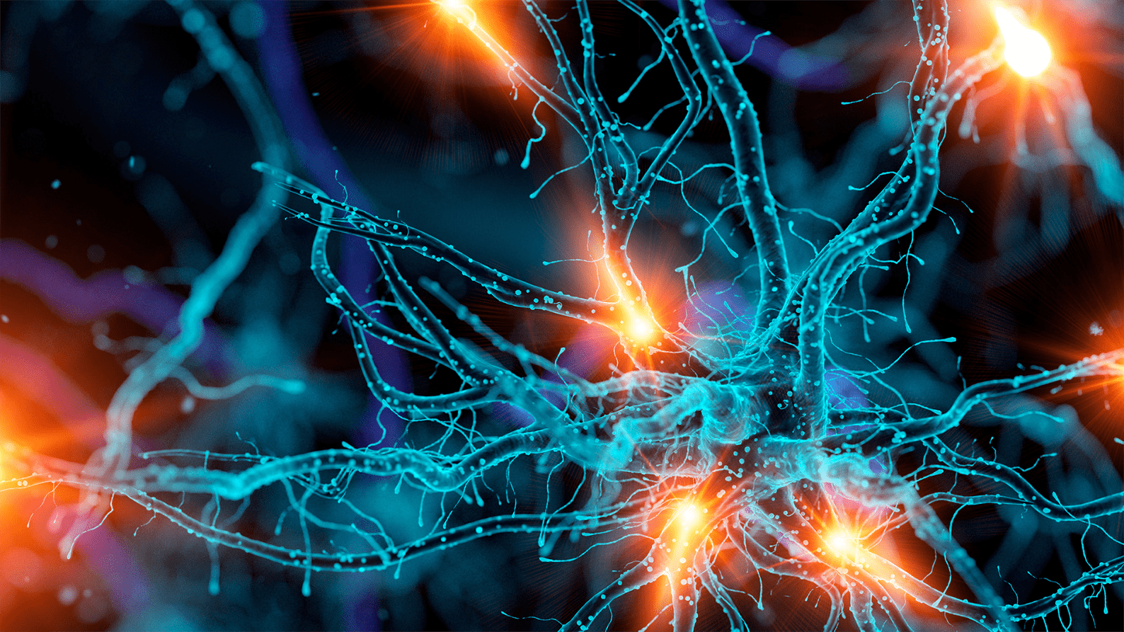 Image for Curtin study a potential game-changer for treatment of traumatic brain injury