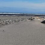 Curtin study finds Australian beach sand originated in Antarctica