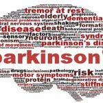 Curtin researchers take the long view to produce significant results