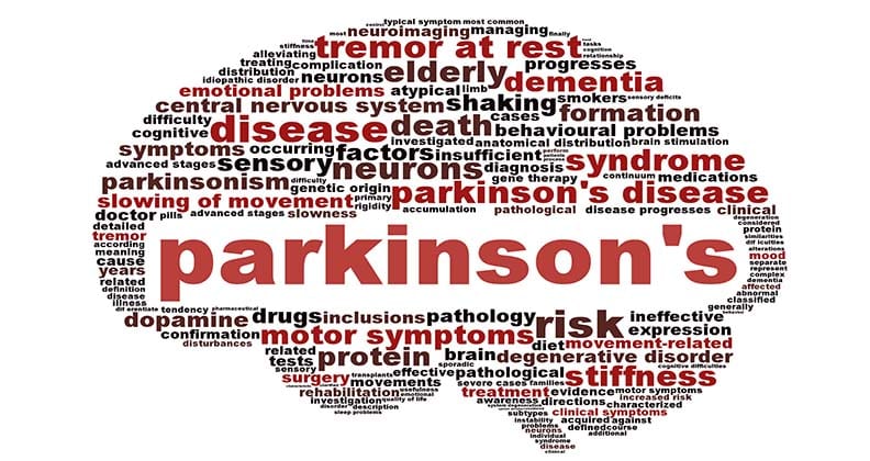 Image for Curtin researchers take the long view to produce significant results
