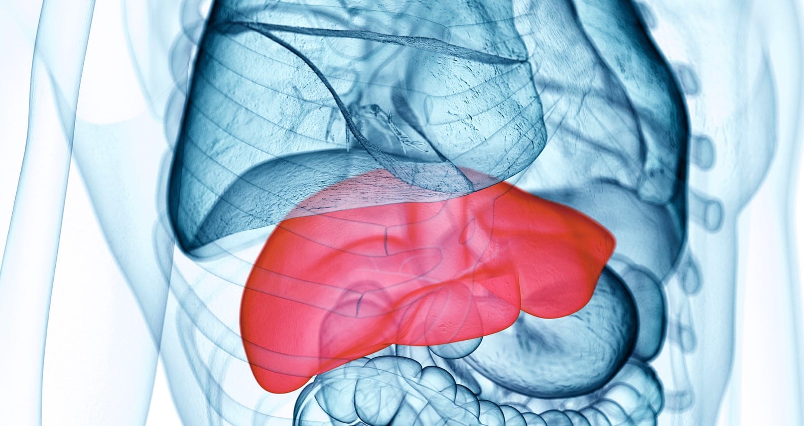 Image for Curtin’s plan to combat chronic liver disease and cancer