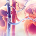 Data mining to combat chronic kidney disease