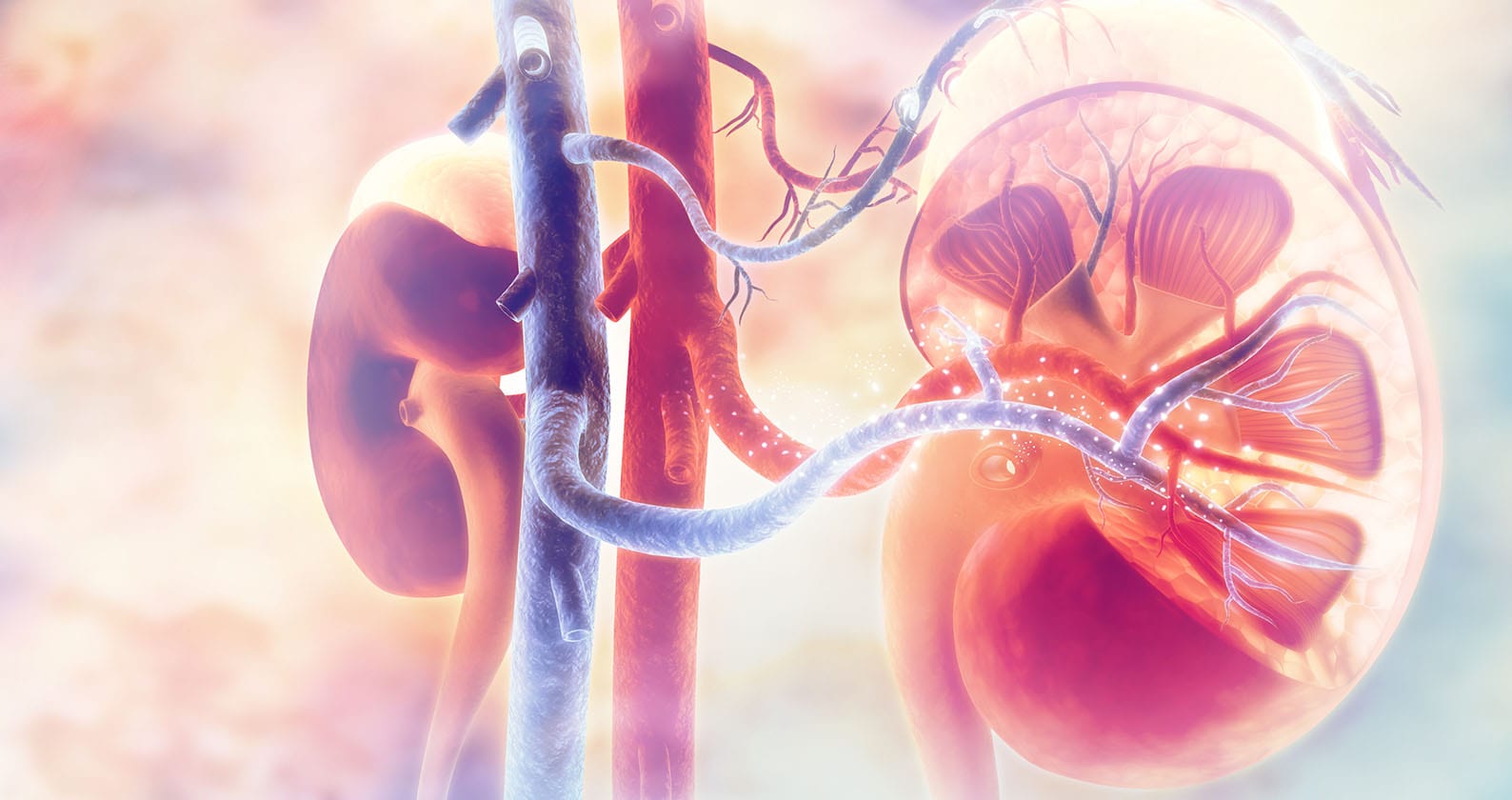 Image for Data mining to combat chronic kidney disease