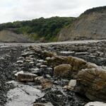 Similar global warming conditions associated with two mass extinctions