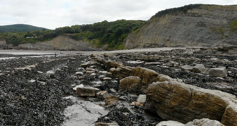 Image for Similar global warming conditions associated with two mass extinctions