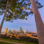 Lack of trees a serious health concern for Perth