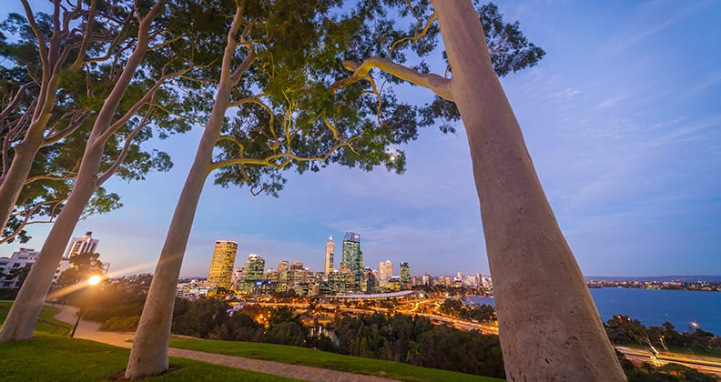 Image for Lack of trees a serious health concern for Perth
