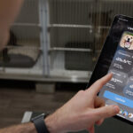 Tiny microchip to keep pets safe crowned a Curtinnovation winner