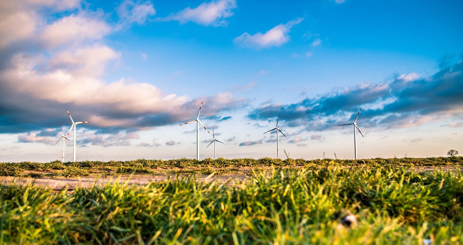 Image for Report finds creating a more sustainable WA would boost jobs and economy
