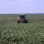 New herbicide solution inspired by cholesterol medicine