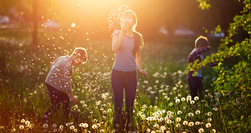 Image for Perth Pollen Count launches in WA – the state’s first and only real-time pollen monitoring and forecast service