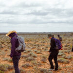 Defence satellites, weather radars and drones lead to major meteorite find