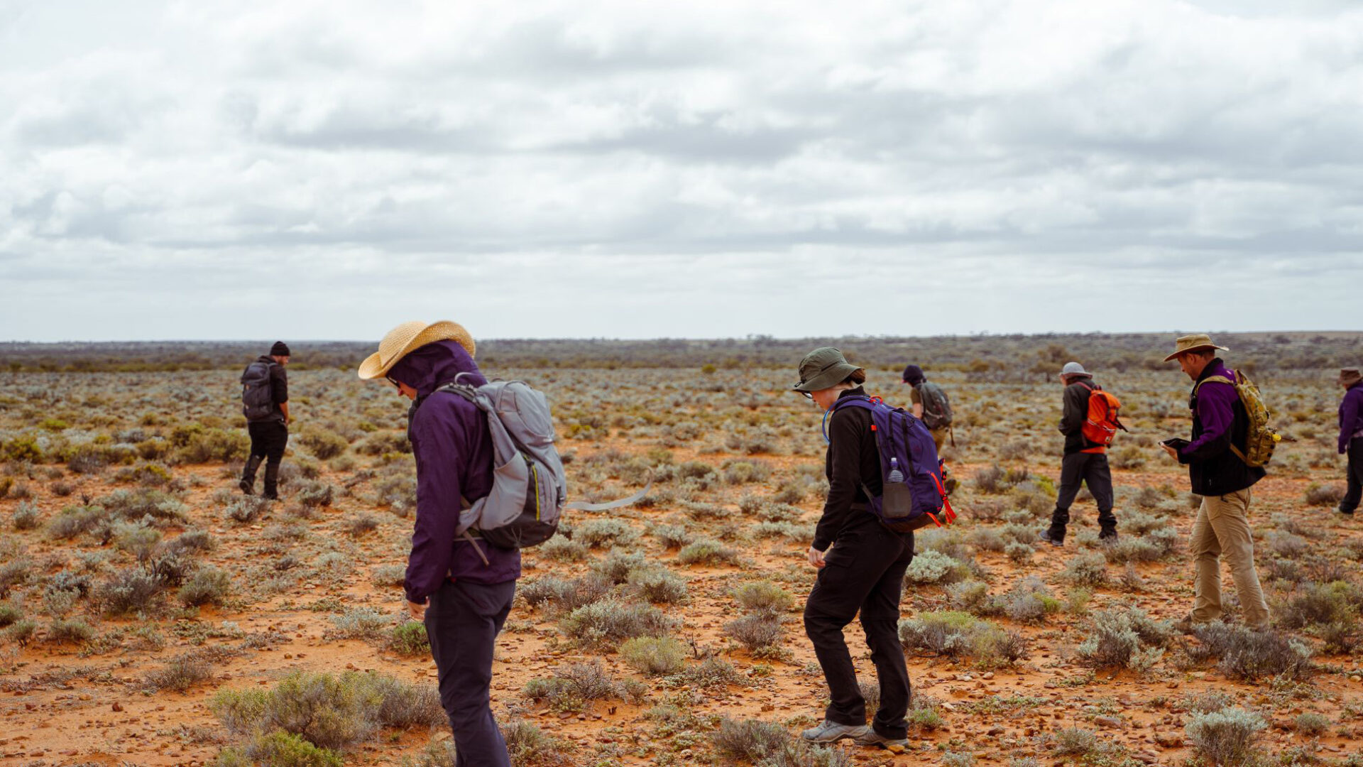 Image for Defence satellites, weather radars and drones lead to major meteorite find