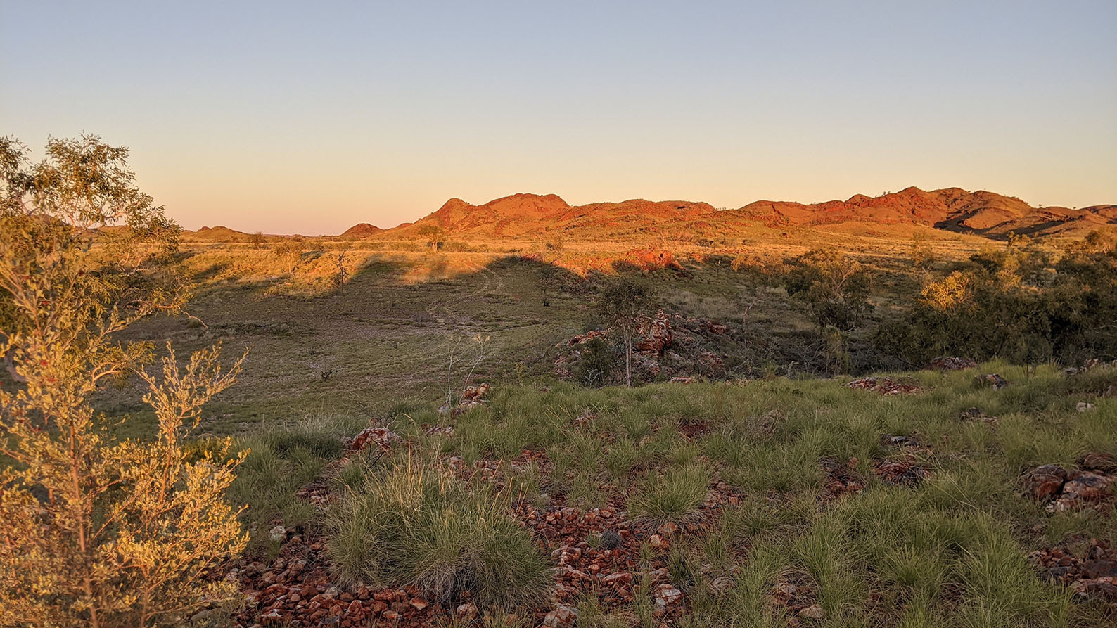 Image for Study finds evidence that giant meteorite impacts created the continents