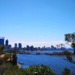 International students, join the Derbarl Yerrigan Educational Cruise