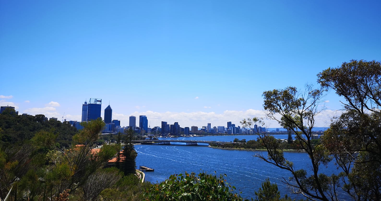 Image for International students, join the Derbarl Yerrigan Educational Cruise