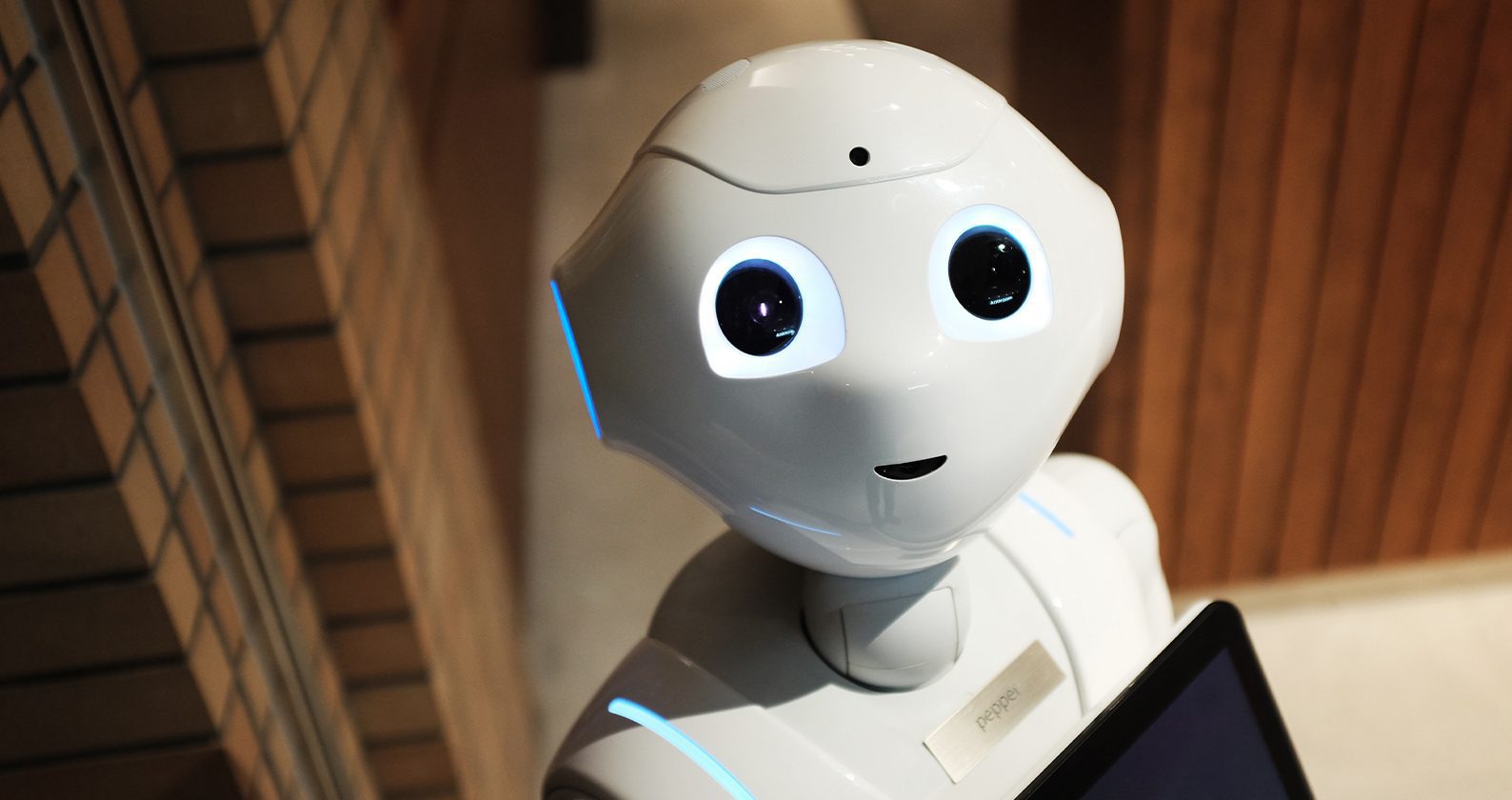 Image for The Future Of Podcast: Robots at Work