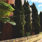 COVID-19 Update: 28 January