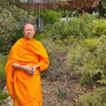 Lunchtime Buddhist Meditation for all