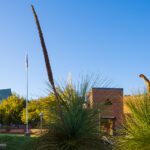 Update to closure of Building 408 Perth Campus