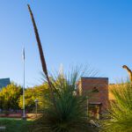 UPDATE: Closure of Building 408 Perth Campus