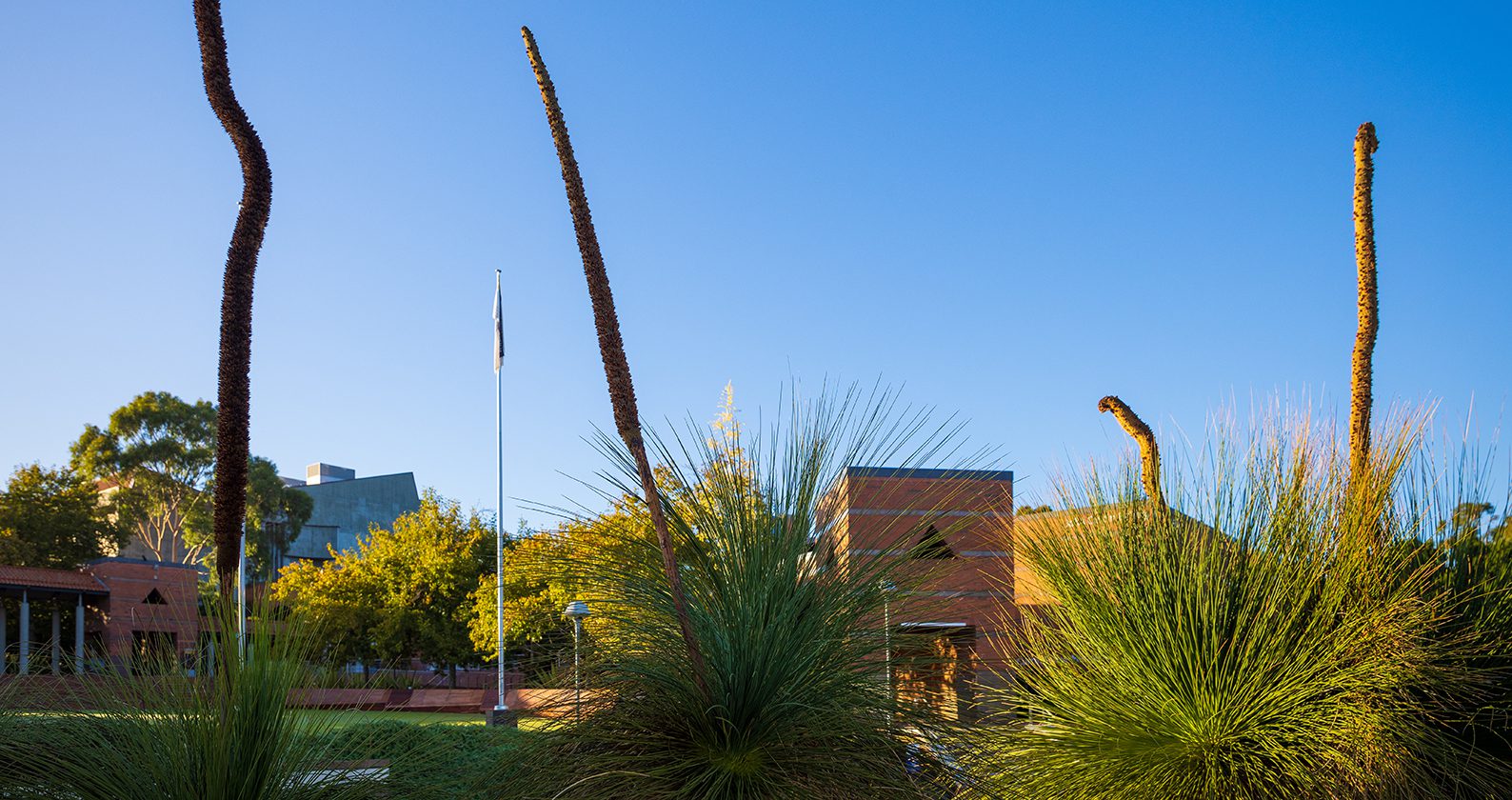 Image for Update to closure of Building 408 Perth Campus