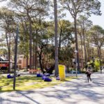 5 things you didn’t know about sustainability at Curtin