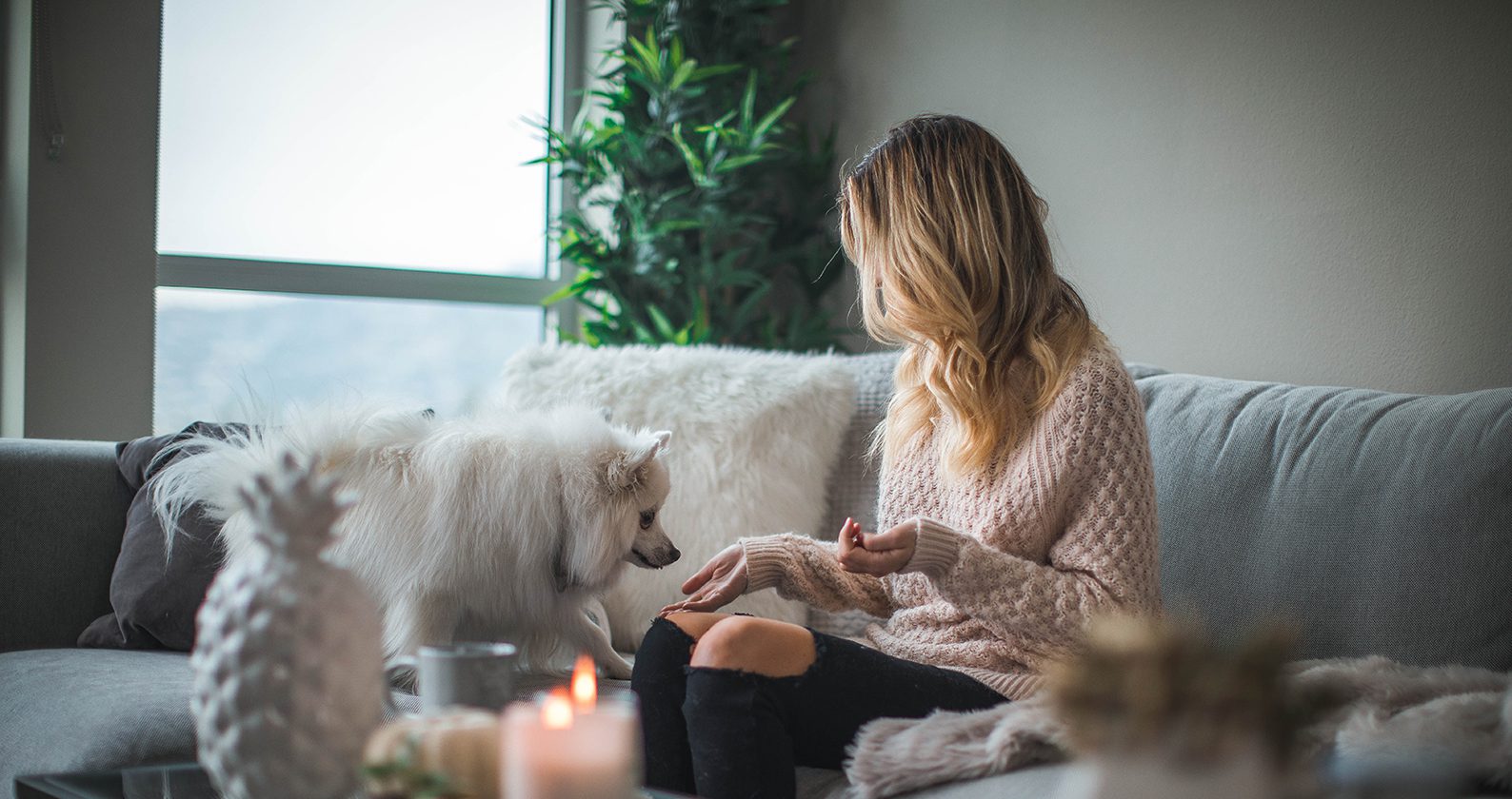 Image for Creating calm in moments of stress