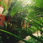 Campus gardens you should visit before you graduate