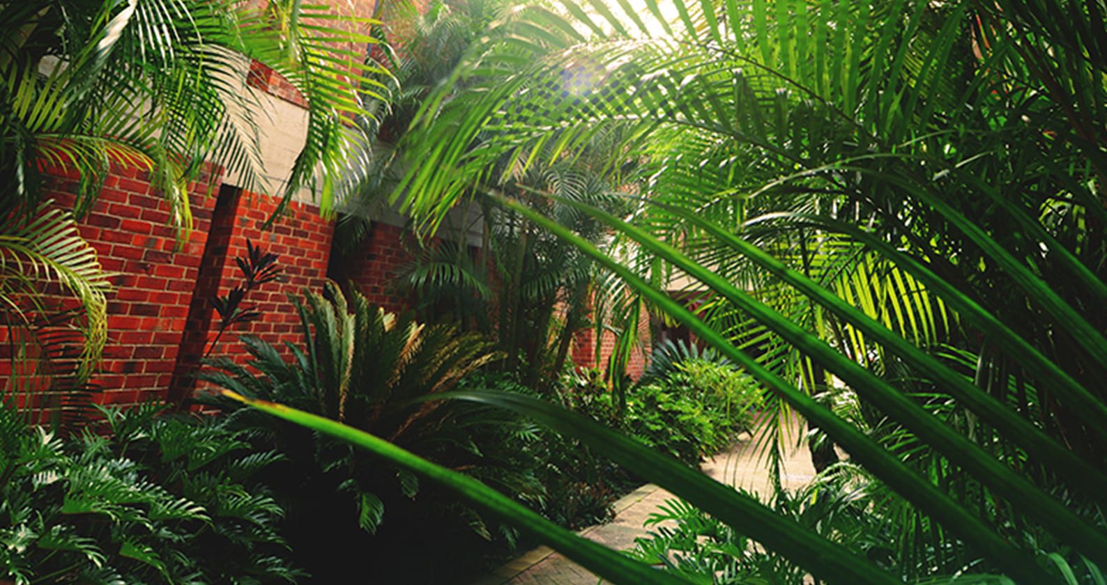 Image for Campus gardens you should visit before you graduate