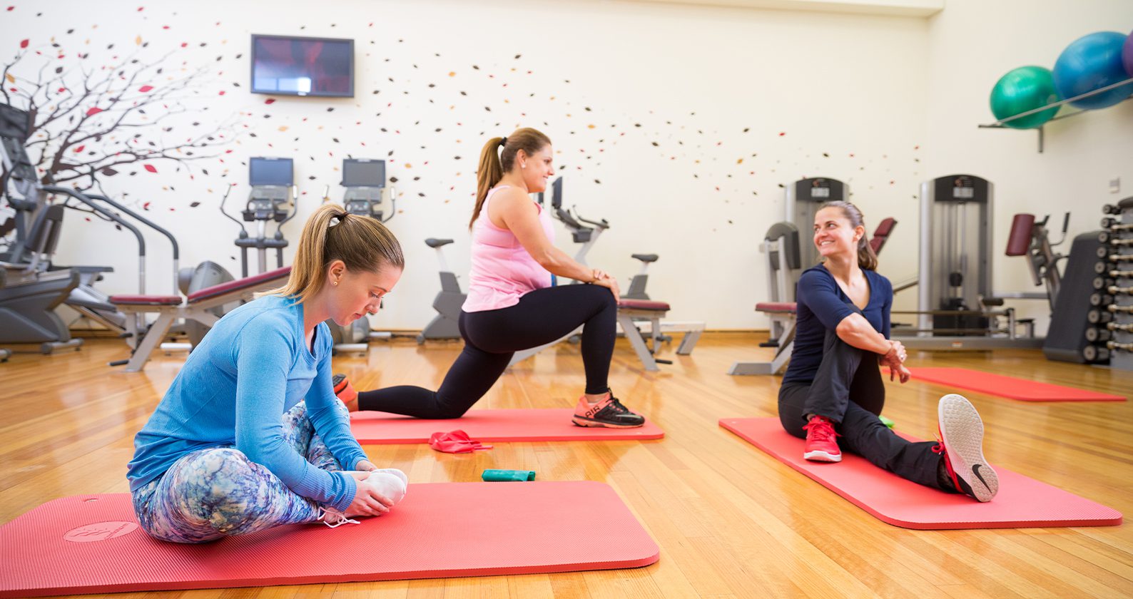 Try something new with Curtin Experiences