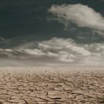 The Future Of Podcast: Mass Extinction Events