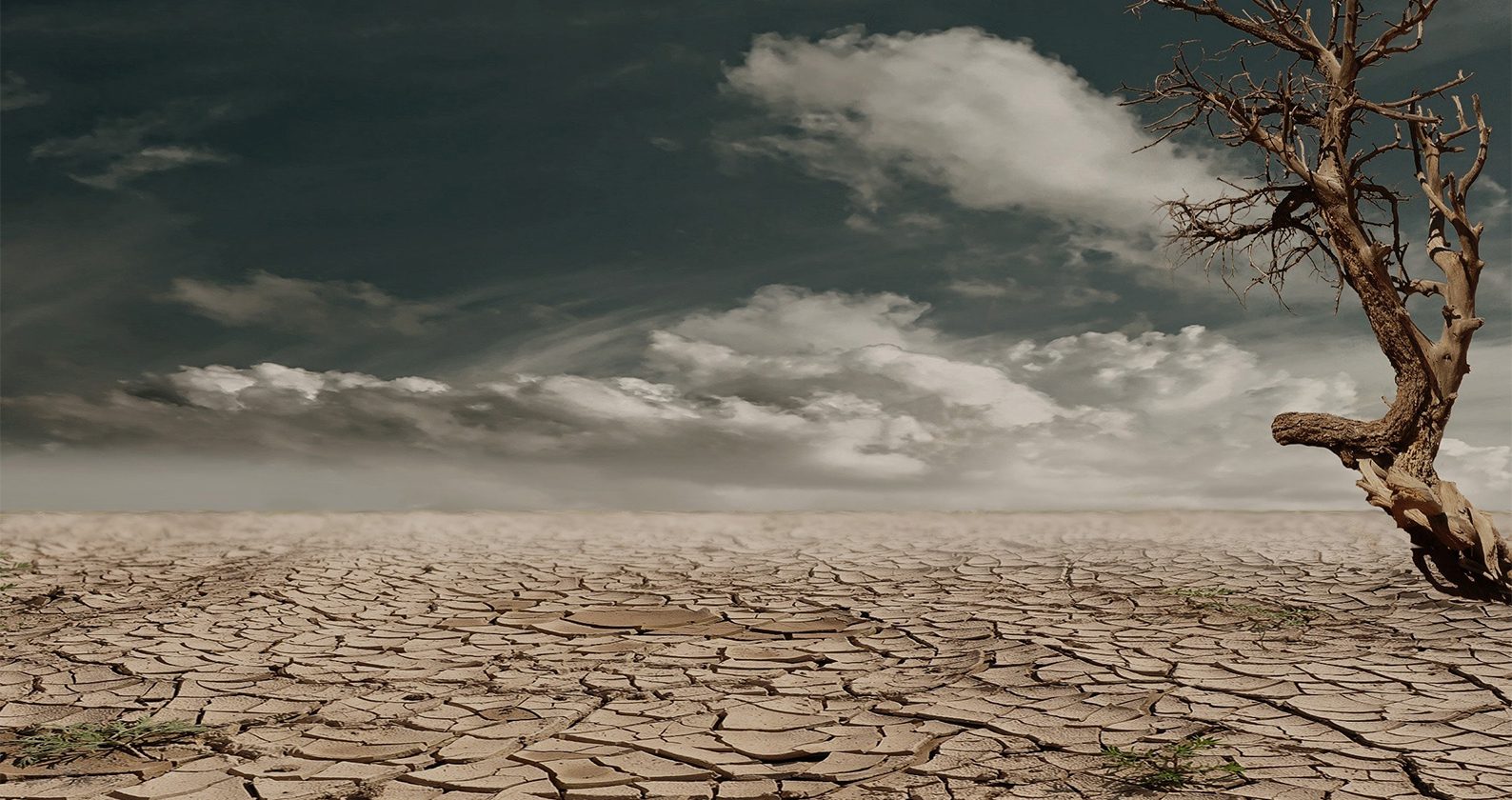 Image for The Future Of Podcast: Mass Extinction Events
