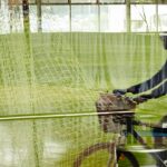 How Curtin is making your life easier on campus