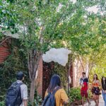 Five fun things to do in Perth this winter