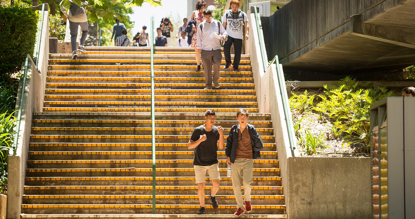 Image for What did students wish they knew before starting university?