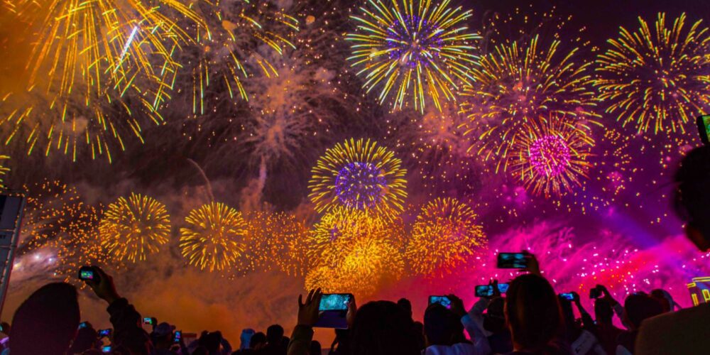 Image for Short-term bang of fireworks has long-term impact on wildlife: study