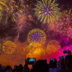 Short-term bang of fireworks has long-term impact on wildlife: study