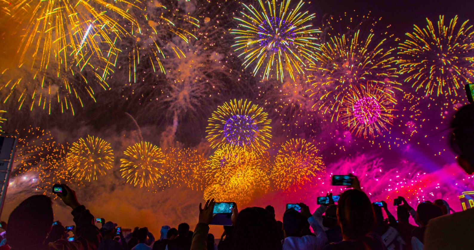 Image for Short-term bang of fireworks has long-term impact on wildlife: study