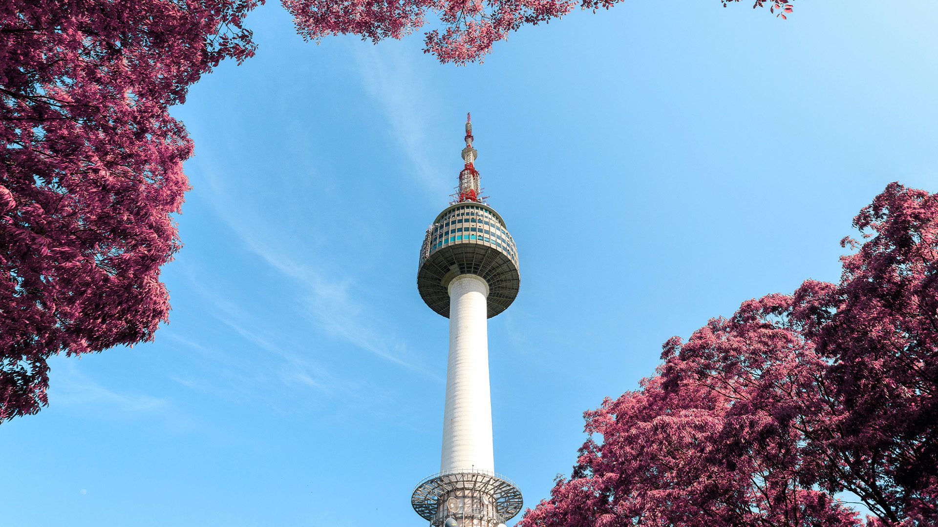 Low-Angle Photo of N Seoul Tower
