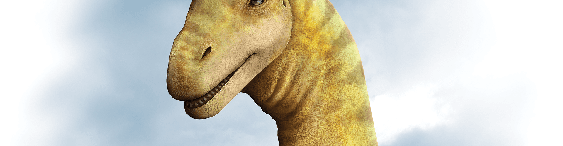 95-million-year-old sauropod dinosaur skull first of its kind in Australia