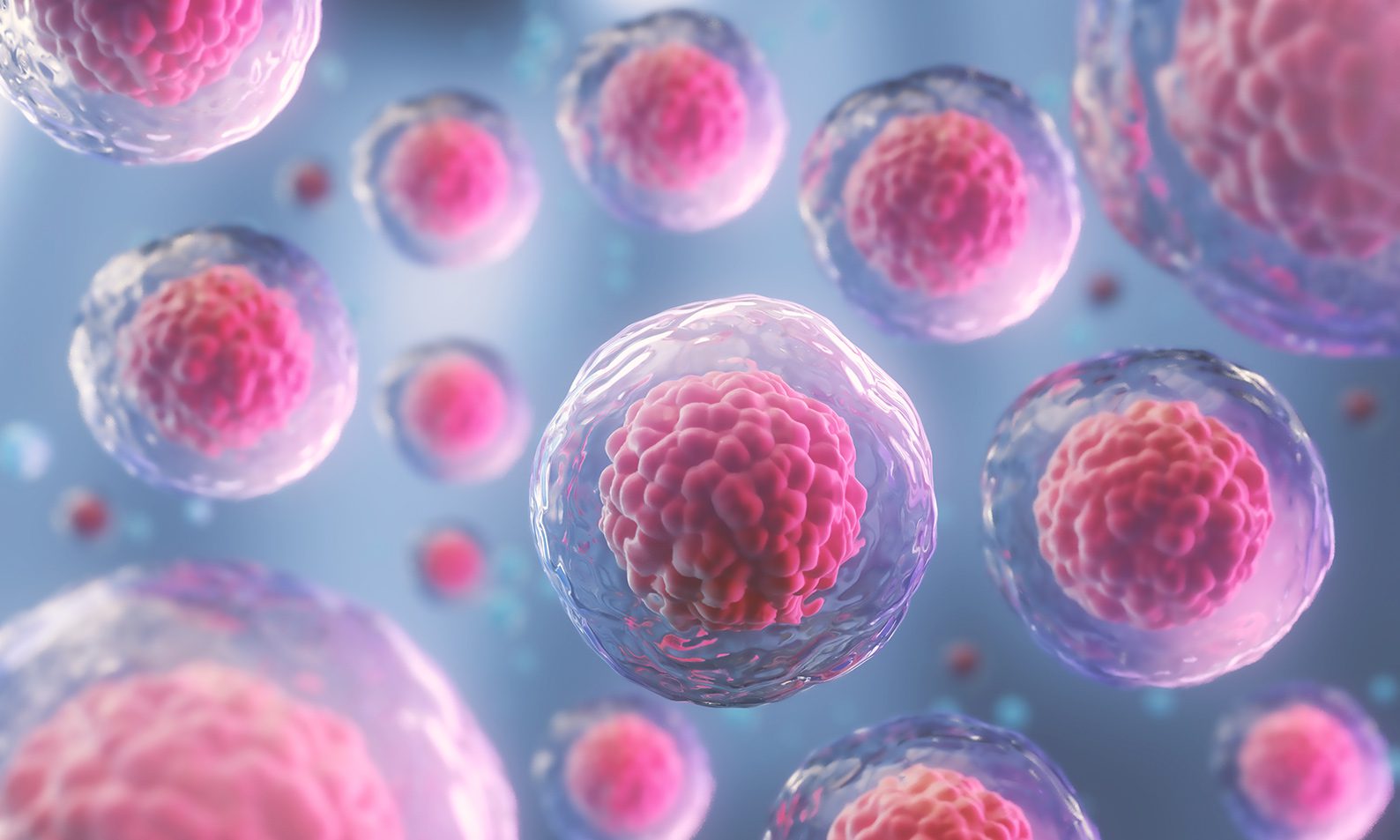 Rendering of stem cells