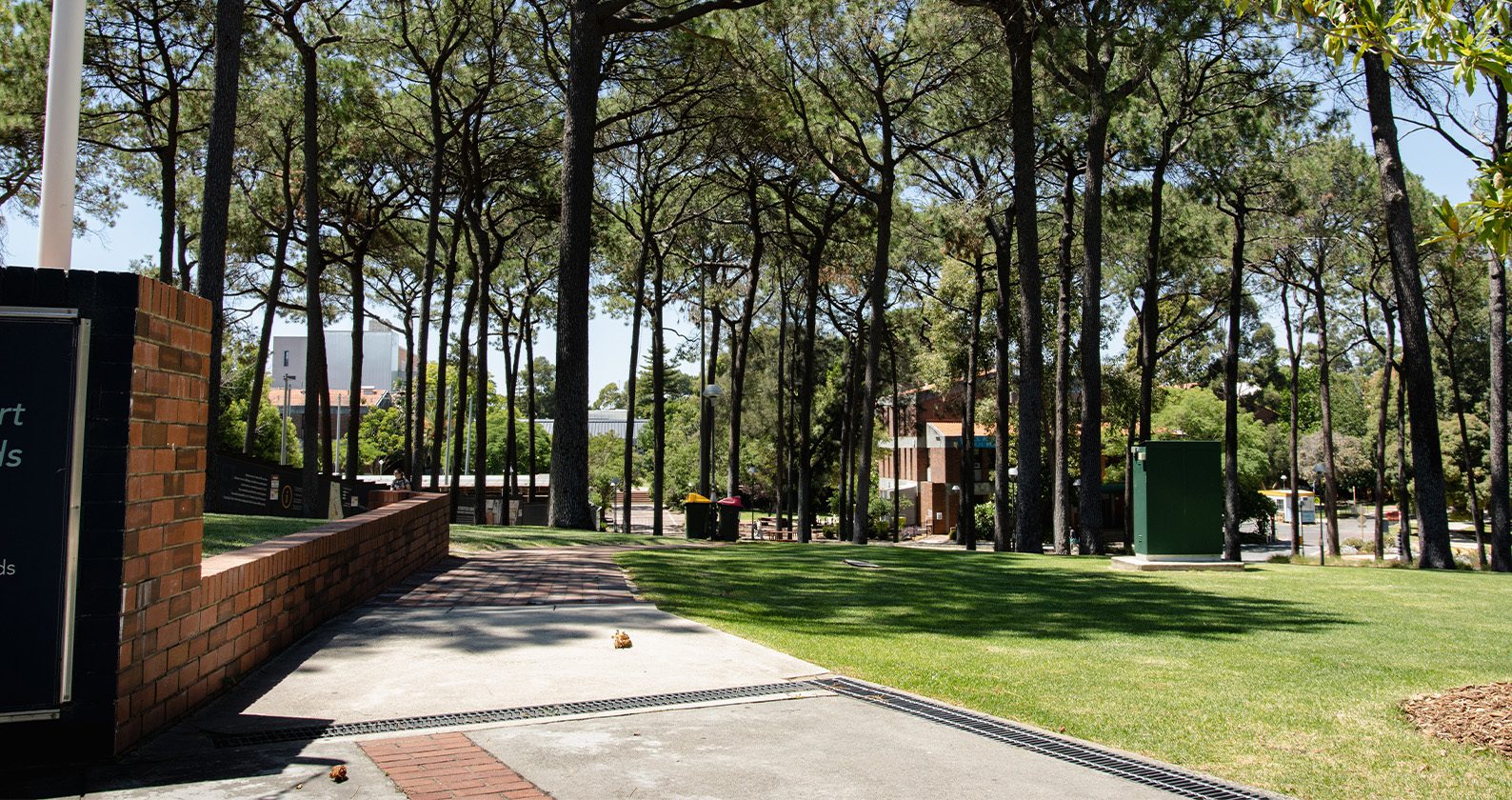 Henderson Court during the day
